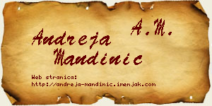 Andreja Mandinić vizit kartica